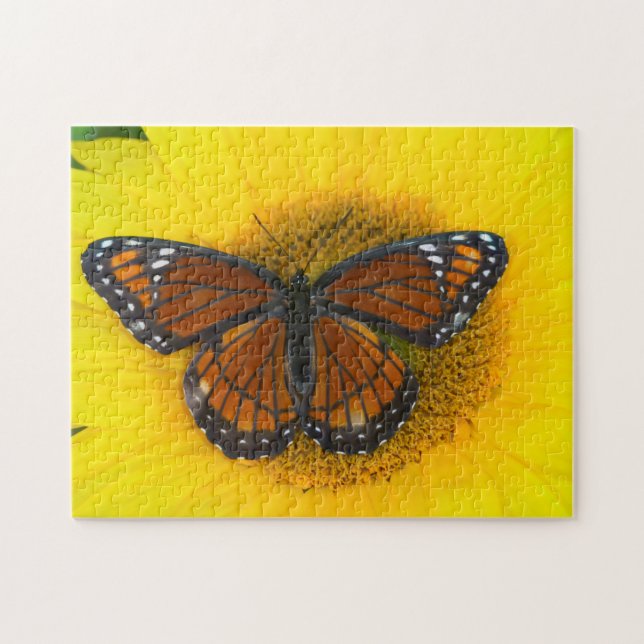 Puzzle Una mariposa virrey | Limenitis Archippus (Horizontal)