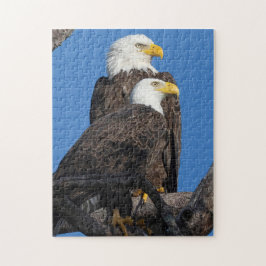 Puzzle Una nueva pareja en el nido - M15 y F23