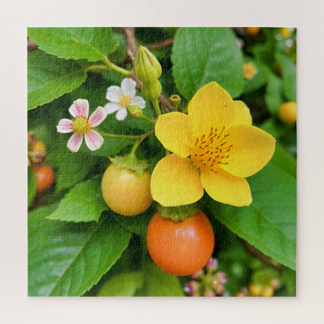 Puzzle Una planta en flor (Vertical)