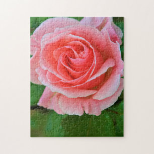 Puzzle Una rosa grande simple cerca
