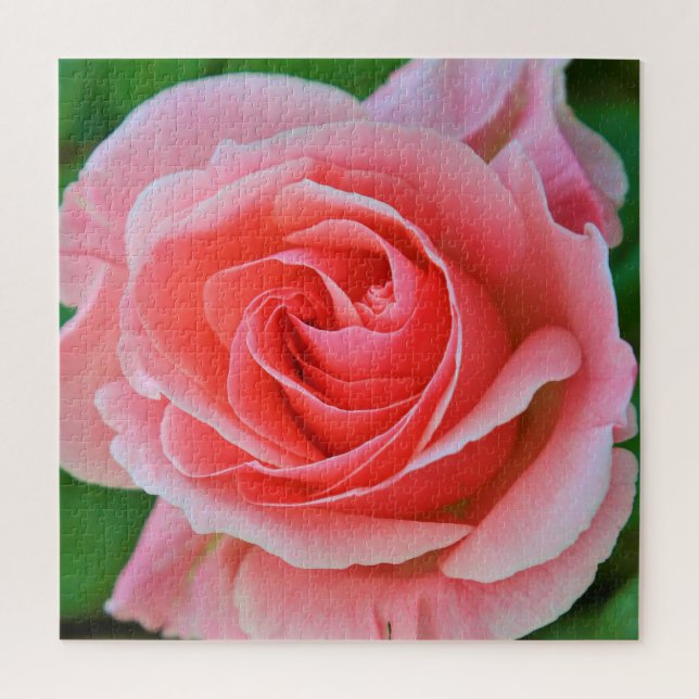 Puzzle Una rosa grande simple cerca (Vertical)
