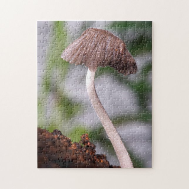 Puzzle Una seta (Vertical)