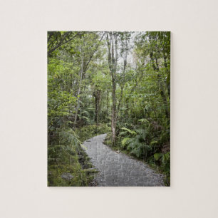 Puzzle Una trayectoria a través de una selva tropical en