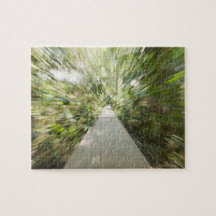 Puzzle Una trayectoria de madera a través de la selva