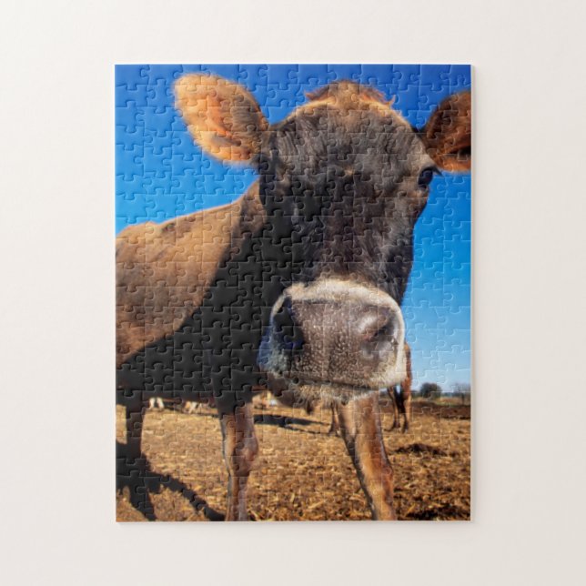 Puzzle Una vaca de Jersey siendo inquisitiva (Vertical)
