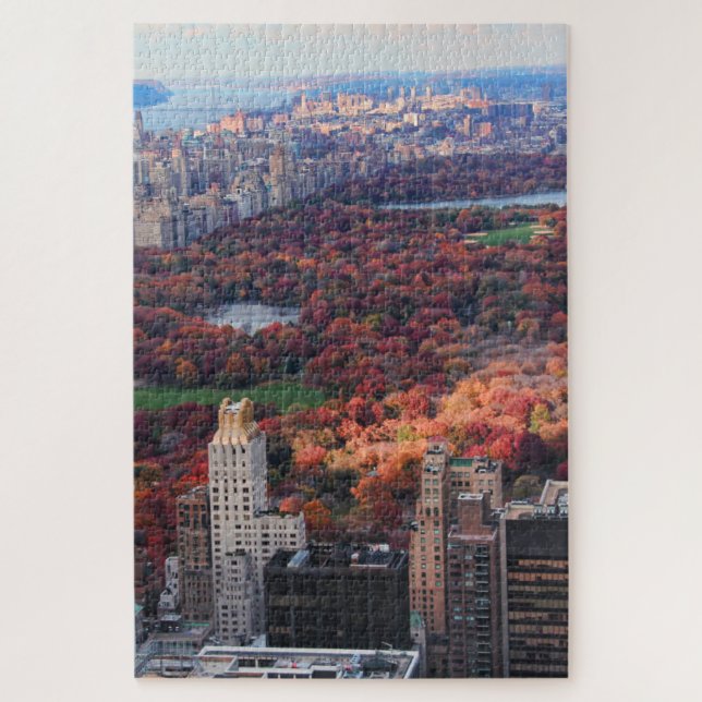 Puzzle Una visión desde arriba: Otoño en el Central Park (Vertical)