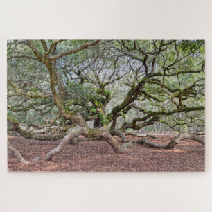 Puzzle Under Angel Oak, Carolina del Sur