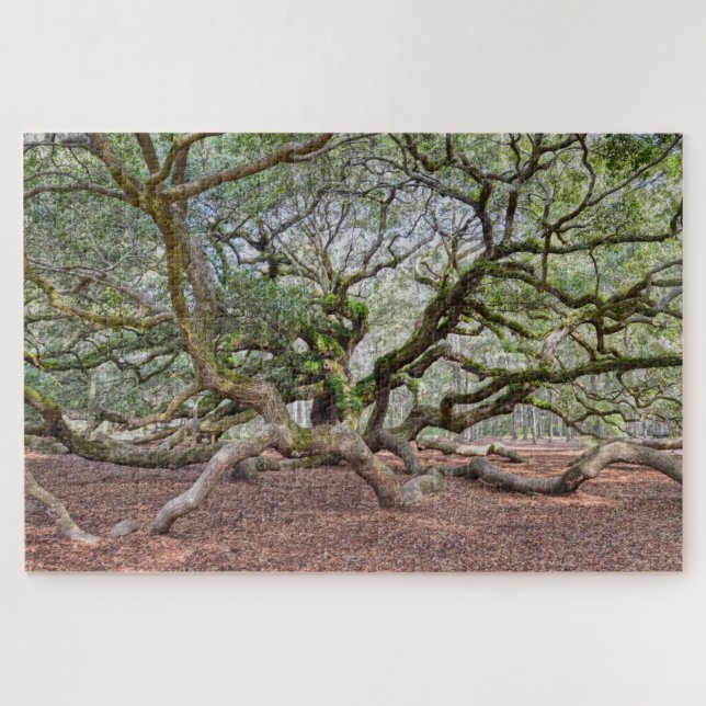 Puzzle Under Angel Oak, Carolina del Sur (Horizontal)