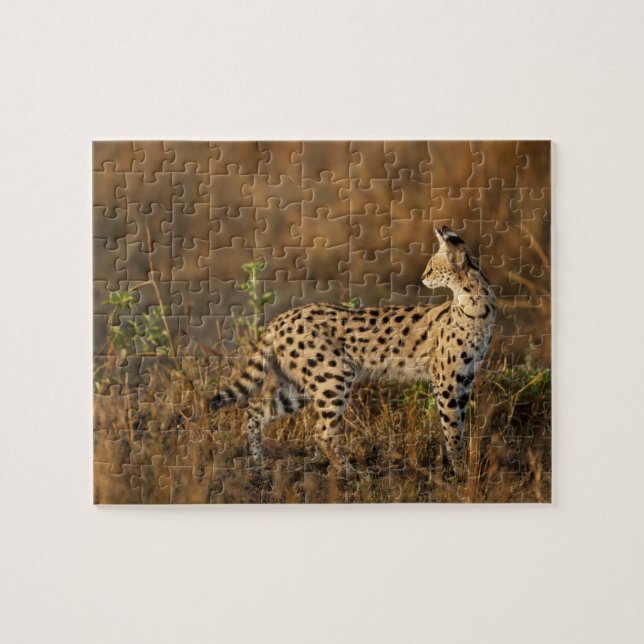 Puzzle Upper Mara, Reserva de caza Masai Mara, Kenia, (Horizontal)
