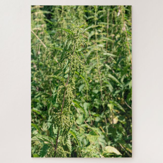 Puzzle Urtica dioica,  (Vertical)