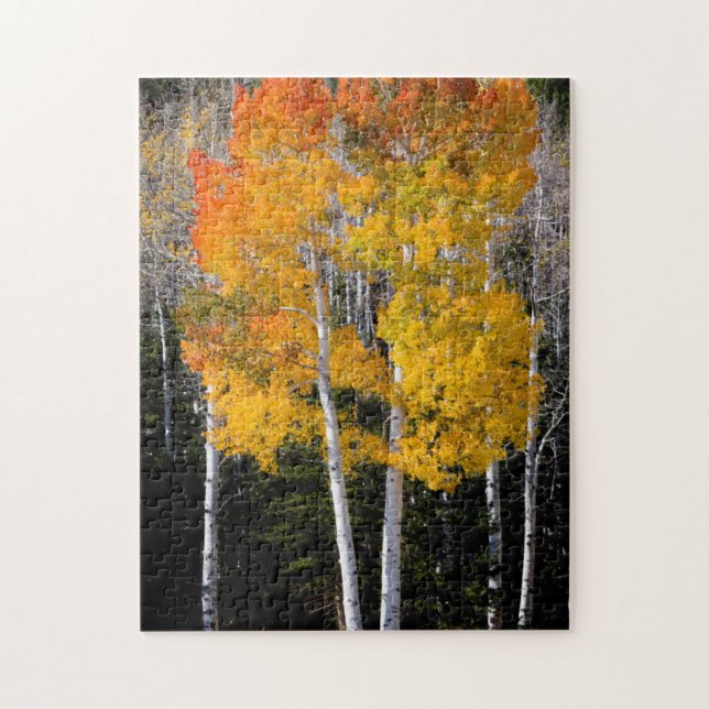 Puzzle Utah, EE. UU. Árboles de Aspen (Populus Tremuloide (Vertical)