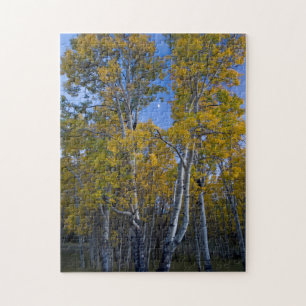 Puzzle Utah. EE. UU. Árboles de Aspen y Luna al Anochecer