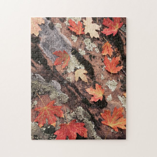 Puzzle Utah, Parque Nacional Zion, Patrones de otoño (Vertical)