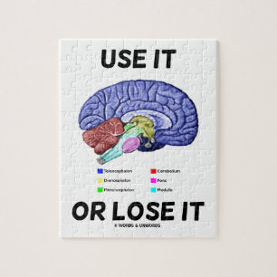 Puzzle Utilícelo O Pérdelo (Asesoramiento Cerebral Anatóm