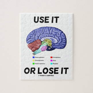 Puzzle Utilícelo O Pérdelo (Asesoramiento Cerebral Anatóm