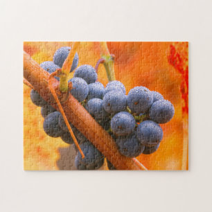 Puzzle Uva Madura En Viñedo