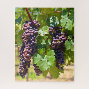 Puzzle Uvas