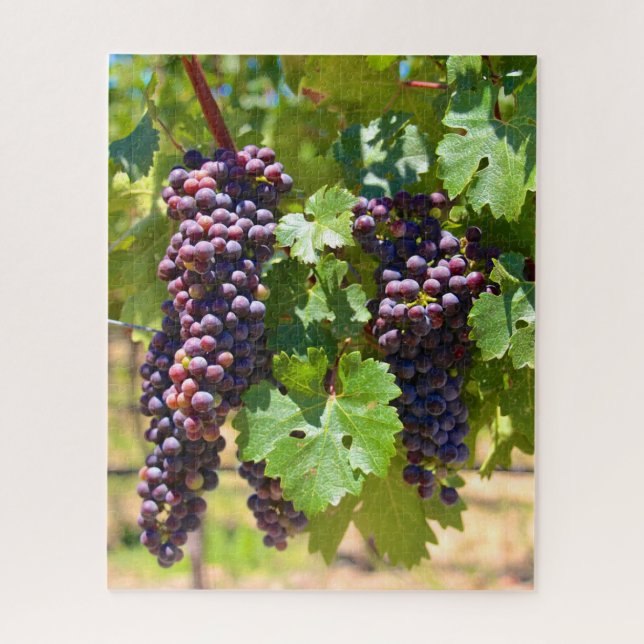 Puzzle Uvas (Vertical)
