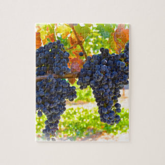 Puzzle Uvas de vino