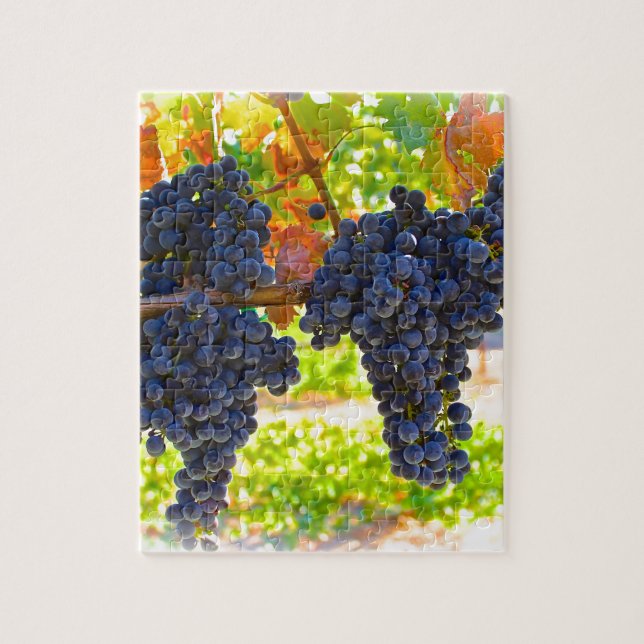 Puzzle Uvas de vino (Vertical)