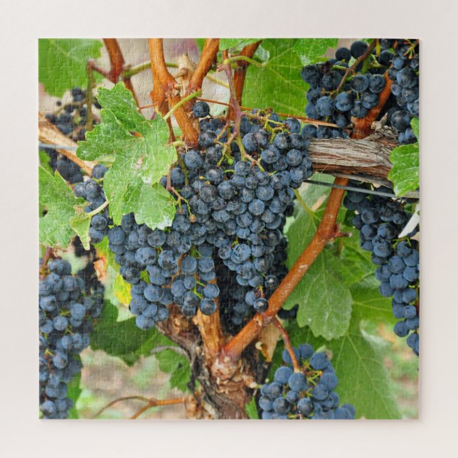 Puzzle Uvas moradas (Vertical)