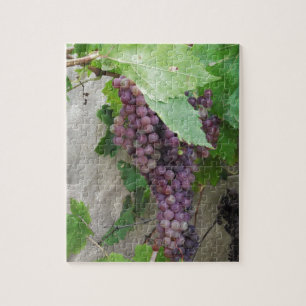 Puzzle Uvas Moradas en la Vid