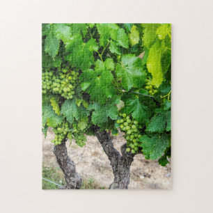 Puzzle Uvas para Vino Crecen, Francia