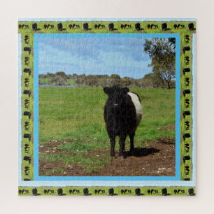 Puzzle Vaca Galloway Bellada Femenina,