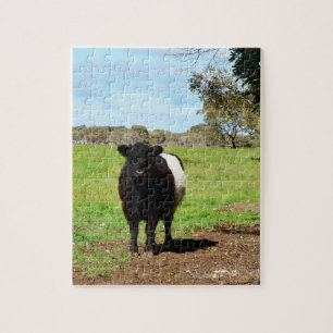 Puzzle Vaca Galloway Bellada Femenina Embarazada,
