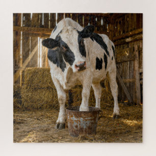 Puzzle Vaca Holstein de pie en un cubo oxidado
