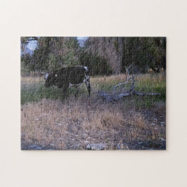 Puzzle Vaca Longhorn en la pastura