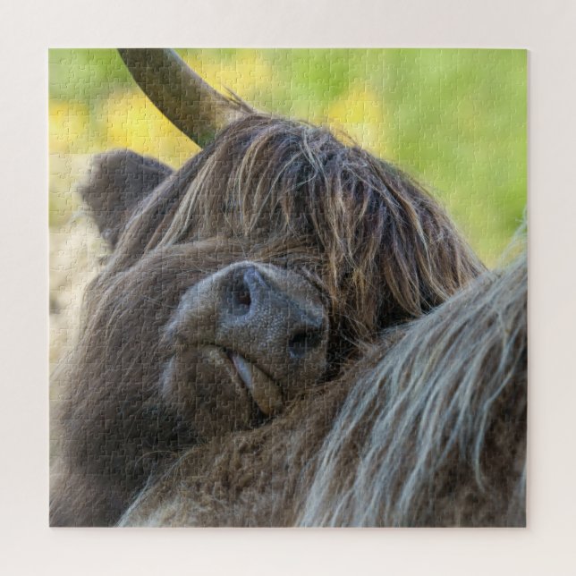 Puzzle Vaca parda de Highland (Vertical)