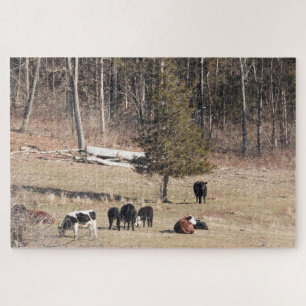 Puzzle Vacas arrasando en una tranquila colina en Connect
