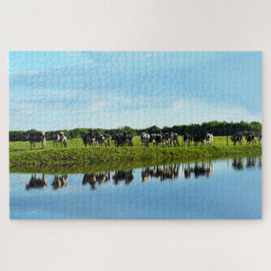 Puzzle Vacas blancas y negras Holstein en la pastura