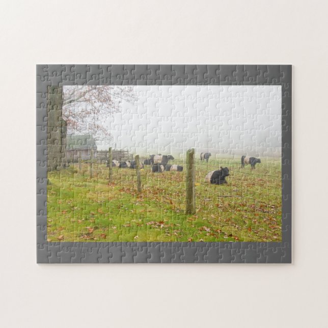 Puzzle Vacas ceñidas de Galloway en Rockport Maine (Horizontal)