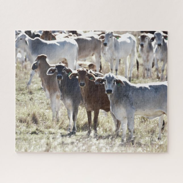 Puzzle Vacas de campo (Horizontal)