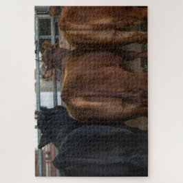 Puzzle Vacas desde atrás