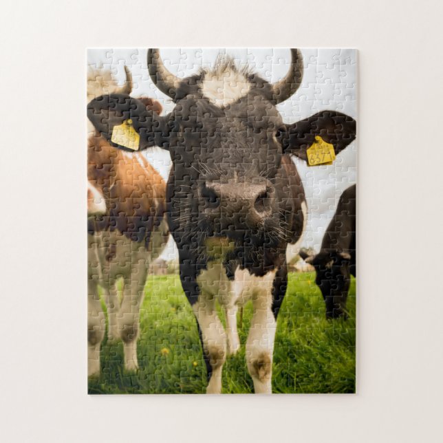 Puzzle Vacas en el campo (Vertical)