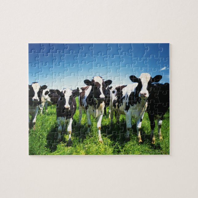 Puzzle Vacas en el campo, ciudad de Betsukai, Hokkaido (Horizontal)