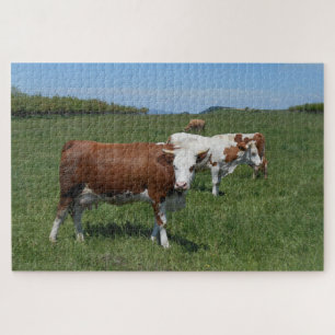 Puzzle Vacas en el pasto
