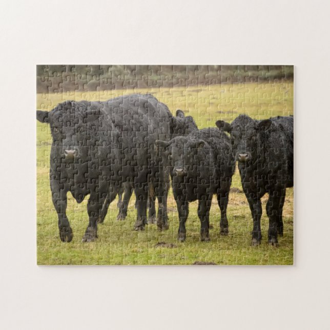 Puzzle Vacas en la lluvia (Horizontal)