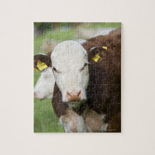 Puzzle Vacas en pastos, de cierre