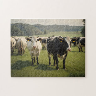 Puzzle Vacas en un campo