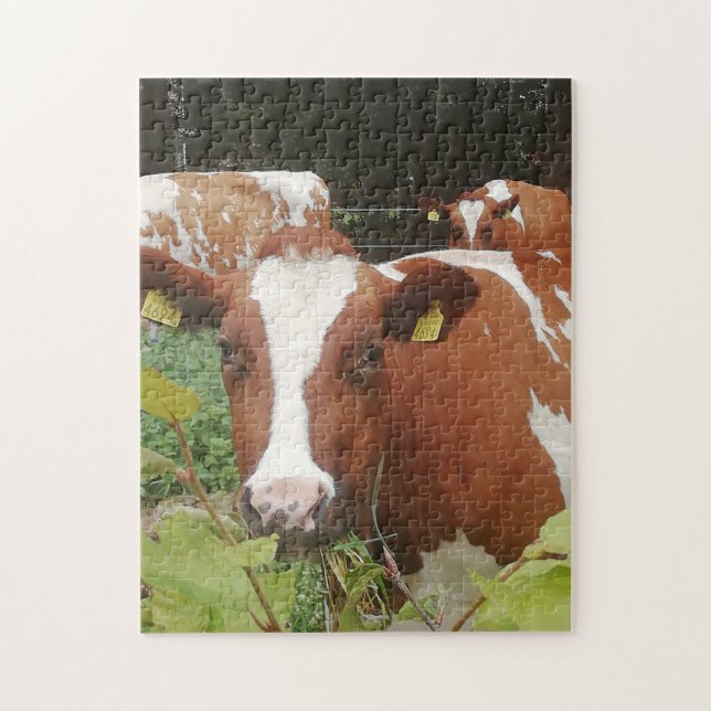 Puzzle Vacas en una granja lechera (Vertical)
