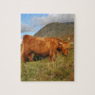 Puzzle Vacas escocesas de la montaña - Escocia