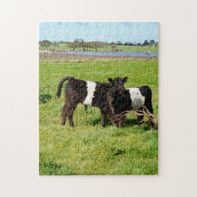 Puzzle Vacas Galloway Belladas Para Bebés En El País, (Vertical)