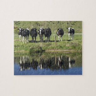 Puzzle Vacas reflejadas en el canal, Henley, llanura de T