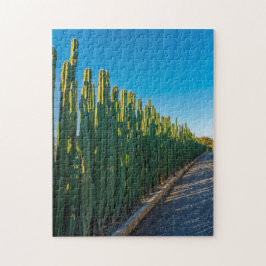 Puzzle valla de cactus de Aruba