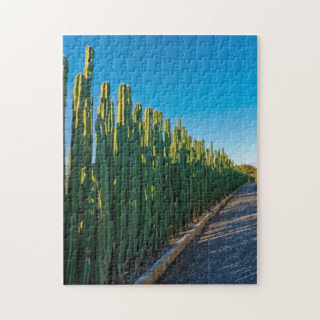 Puzzle valla de cactus de Aruba (Vertical)