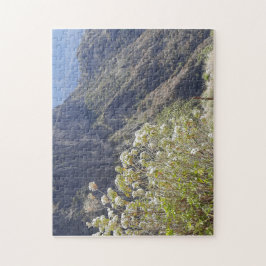 Puzzle Valle Montañoso con Flores Silvestres Tranquilas
